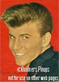  &copy; boomers pinups work product - bobby rydell picture