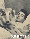  &copy; Boomers Pinups - Frankie Avalon picture