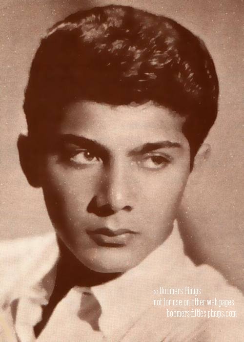  &copy; boomers pinups - paul anka photo