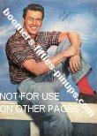  &copy; boomers pinups work product - rock hudson plaid shirt photo