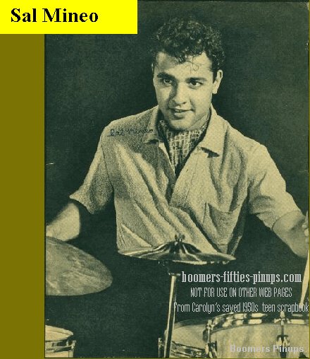  &copy; boomers pinups work product - sal mineo
