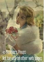  &copy; boomers pinups work product - sandra dee picture