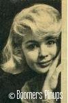  &copy; boomers pinups work product - sandra dee