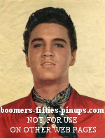  &copy; boomers pinups work product - elvis presley with scarf picture