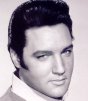 elvis at the drive-in