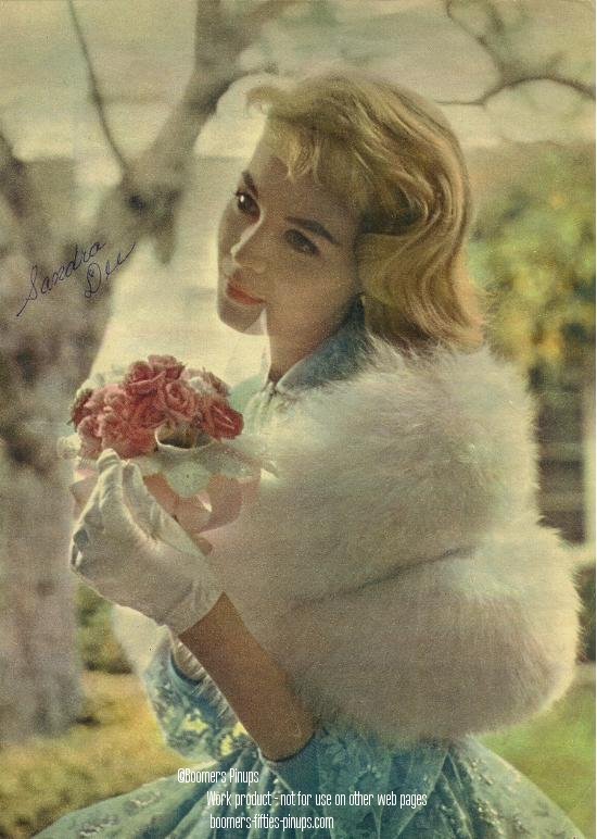  &copy;  boomers pinups work product - sandra dee picture